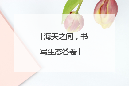 海天之间，书写生态答卷