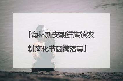 海林新安朝鲜族镇农耕文化节圆满落幕