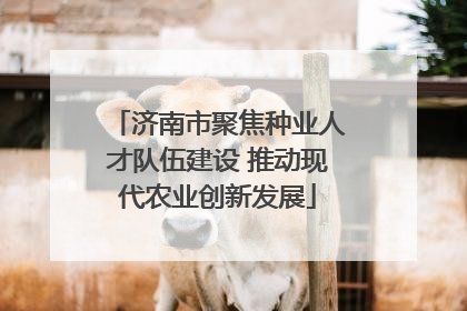 济南市聚焦种业人才队伍建设 推动现代农业创新发展