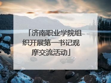 济南职业学院组织开展第一书记观摩交流活动