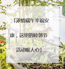 浓情端午幸福安康，这里的睦邻节活动暖人心