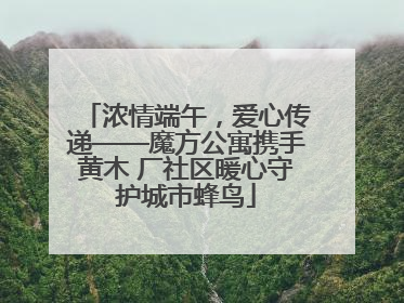 浓情端午，爱心传递——魔方公寓携手黄木 厂社区暖心守护城市蜂鸟