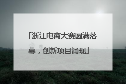 浙江电商大赛圆满落幕，创新项目涌现