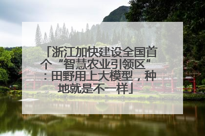 浙江加快建设全国首个“智慧农业引领区”：田野用上大模型，种地就是不一样