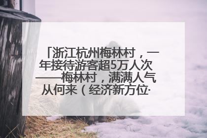 浙江杭州梅林村，一年接待游客超5万人次——梅林村，满满人气从何来（经济新方位·农村消费观察）