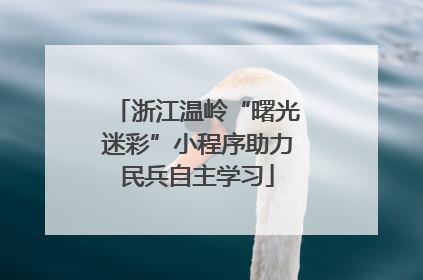 浙江温岭“曙光迷彩”小程序助力民兵自主学习
