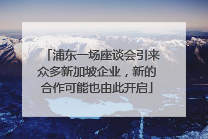 浦东一场座谈会引来众多新加坡企业，新的合作可能也由此开启