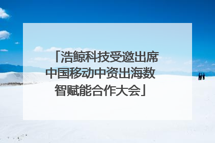 浩鲸科技受邀出席中国移动中资出海数智赋能合作大会