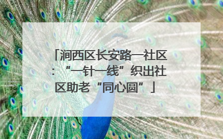 涧西区长安路一社区：“一针一线”织出社区助老“同心圆”
