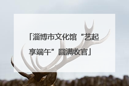淄博市文化馆“艺起享端午”圆满收官