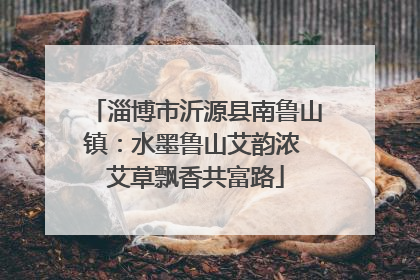 淄博市沂源县南鲁山镇：水墨鲁山艾韵浓 艾草飘香共富路