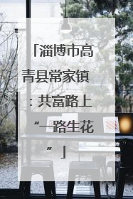 淄博市高青县常家镇：共富路上“一路生花”