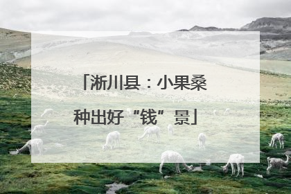 淅川县：小果桑种出好“钱”景