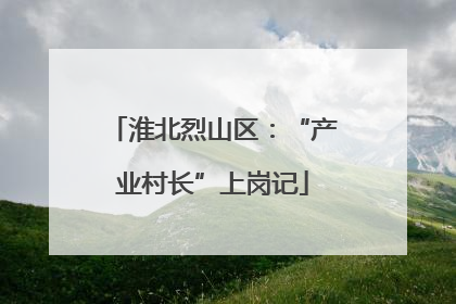 淮北烈山区：“产业村长”上岗记
