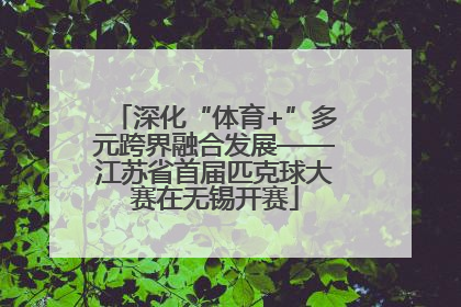 深化“体育+”多元跨界融合发展——江苏省首届匹克球大赛在无锡开赛