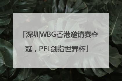 深圳WBG香港邀请赛夺冠，PEL剑指世界杯
