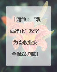 渑池：“双病净化”攻坚 为畜牧业安全保驾护航
