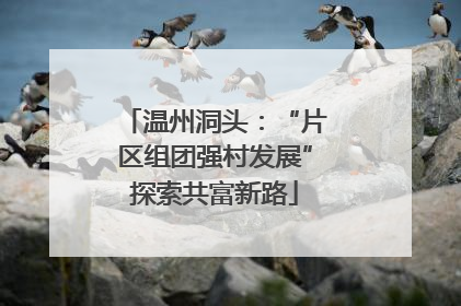 温州洞头：“片区组团强村发展”探索共富新路