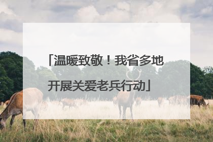 温暖致敬！我省多地开展关爱老兵行动