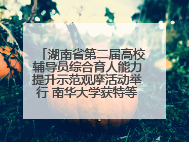 湖南省第二届高校辅导员综合育人能力提升示范观摩活动举行 南华大学获特等奖和一等奖