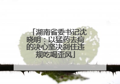 湖南省委书记沈晓明：以猛药去疴的决心坚决刹住违规吃喝歪风