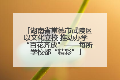 湖南省常德市武陵区以文化立校 推动办学“百花齐放”——每所学校都“精彩”