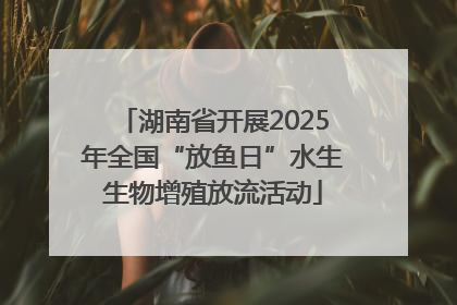 湖南省开展2025年全国“放鱼日”水生生物增殖放流活动
