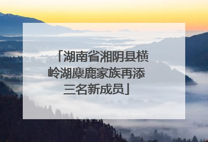 湖南省湘阴县横岭湖麋鹿家族再添三名新成员