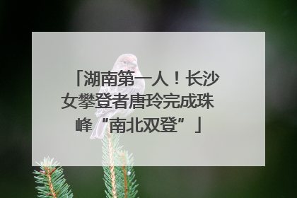 湖南第一人！长沙女攀登者唐玲完成珠峰“南北双登”