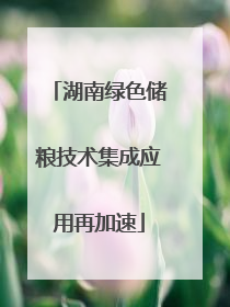 湖南绿色储粮技术集成应用再加速