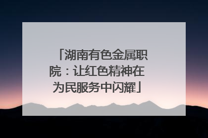 湖南有色金属职院：让红色精神在为民服务中闪耀