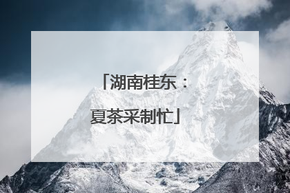 湖南桂东：夏茶采制忙
