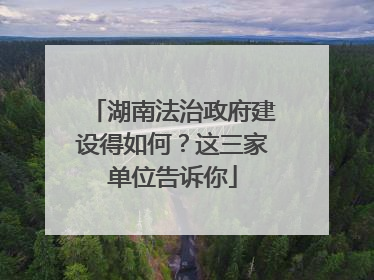 湖南法治政府建设得如何？这三家单位告诉你