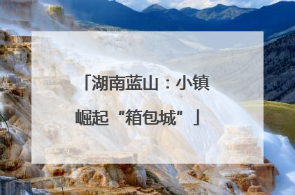 湖南蓝山：小镇崛起“箱包城”