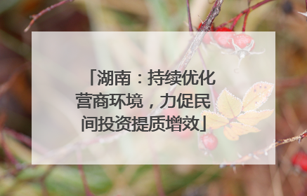 湖南：持续优化营商环境，力促民间投资提质增效