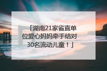 湖南21家省直单位爱心妈妈牵手结对30名流动儿童！