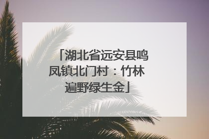 湖北省远安县鸣凤镇北门村：竹林遍野绿生金