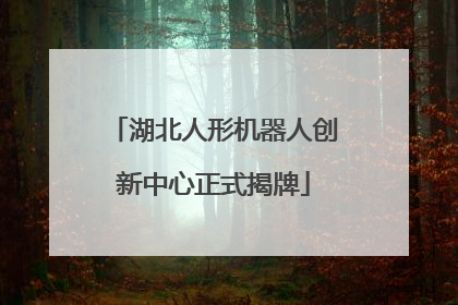 湖北人形机器人创新中心正式揭牌