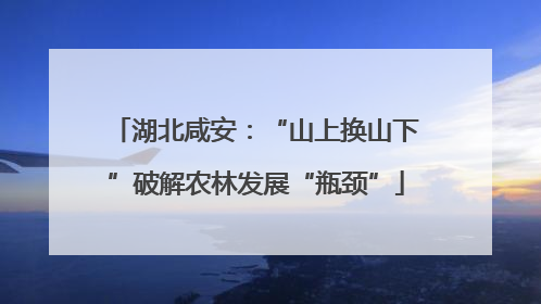 湖北咸安：“山上换山下”破解农林发展“瓶颈”