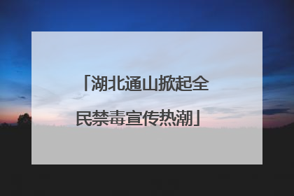 湖北通山掀起全民禁毒宣传热潮