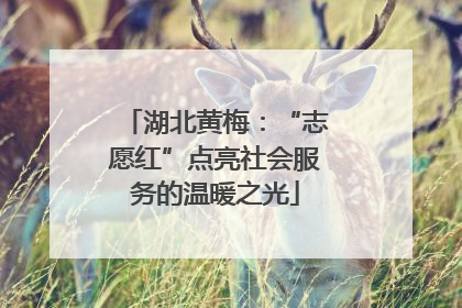 湖北黄梅：“志愿红”点亮社会服务的温暖之光