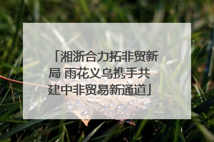 湘浙合力拓非贸新局 雨花义乌携手共建中非贸易新通道
