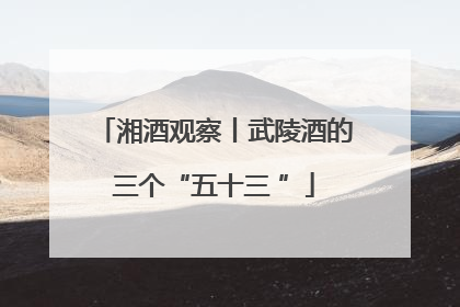 湘酒观察丨武陵酒的三个“五十三 ”