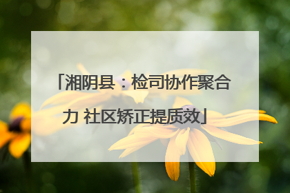 湘阴县：检司协作聚合力 社区矫正提质效