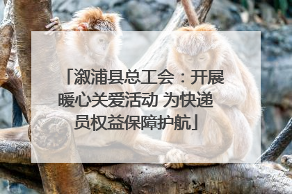 溆浦县总工会：开展暖心关爱活动 为快递员权益保障护航