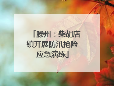 滕州：柴胡店镇开展防汛抢险应急演练