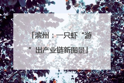 滨州：一只虾“游”出产业链新图景