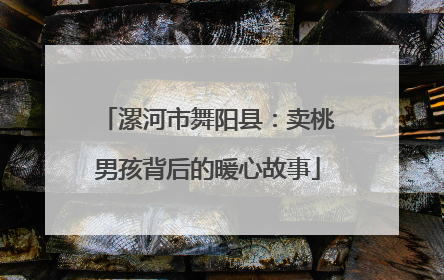 漯河市舞阳县：卖桃男孩背后的暖心故事