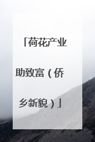 荷花产业助致富（侨乡新貌）