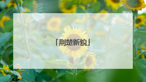 荆楚新貌